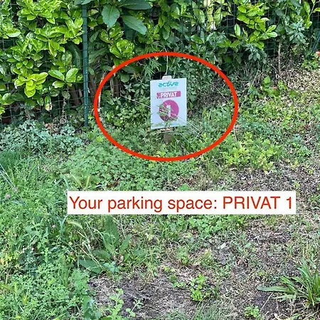 Lejlighed Ac Parking La Dama Col Calice Malcesine